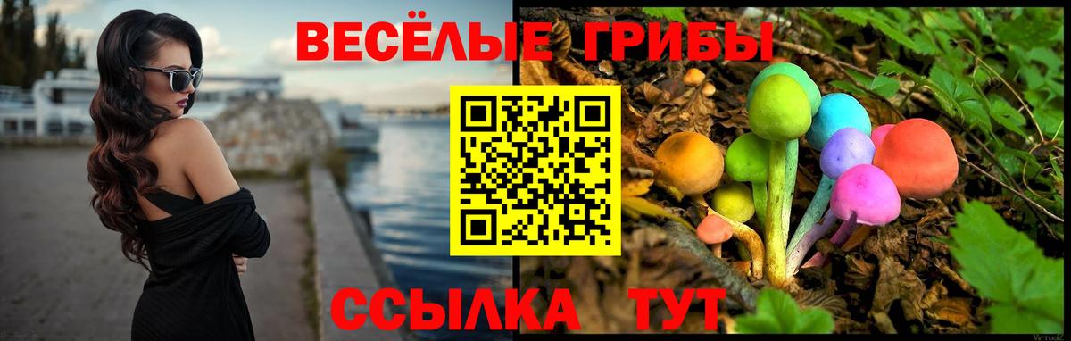Псилоцибиновые грибы GOLDEN TEACHER  Вход с VPN  Урус-Мартан 