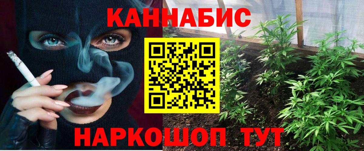 Урус-Мартан  Конопля Amnesia  Конопля Ganja  Бошки марихуана тримм  Вход с VPN 